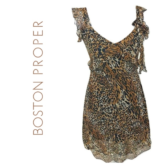 Boston Proper Other - Boston Proper 4 Silk Dress Leopard Fit Flare Sexy